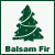Balsam Fir Christmas Tree